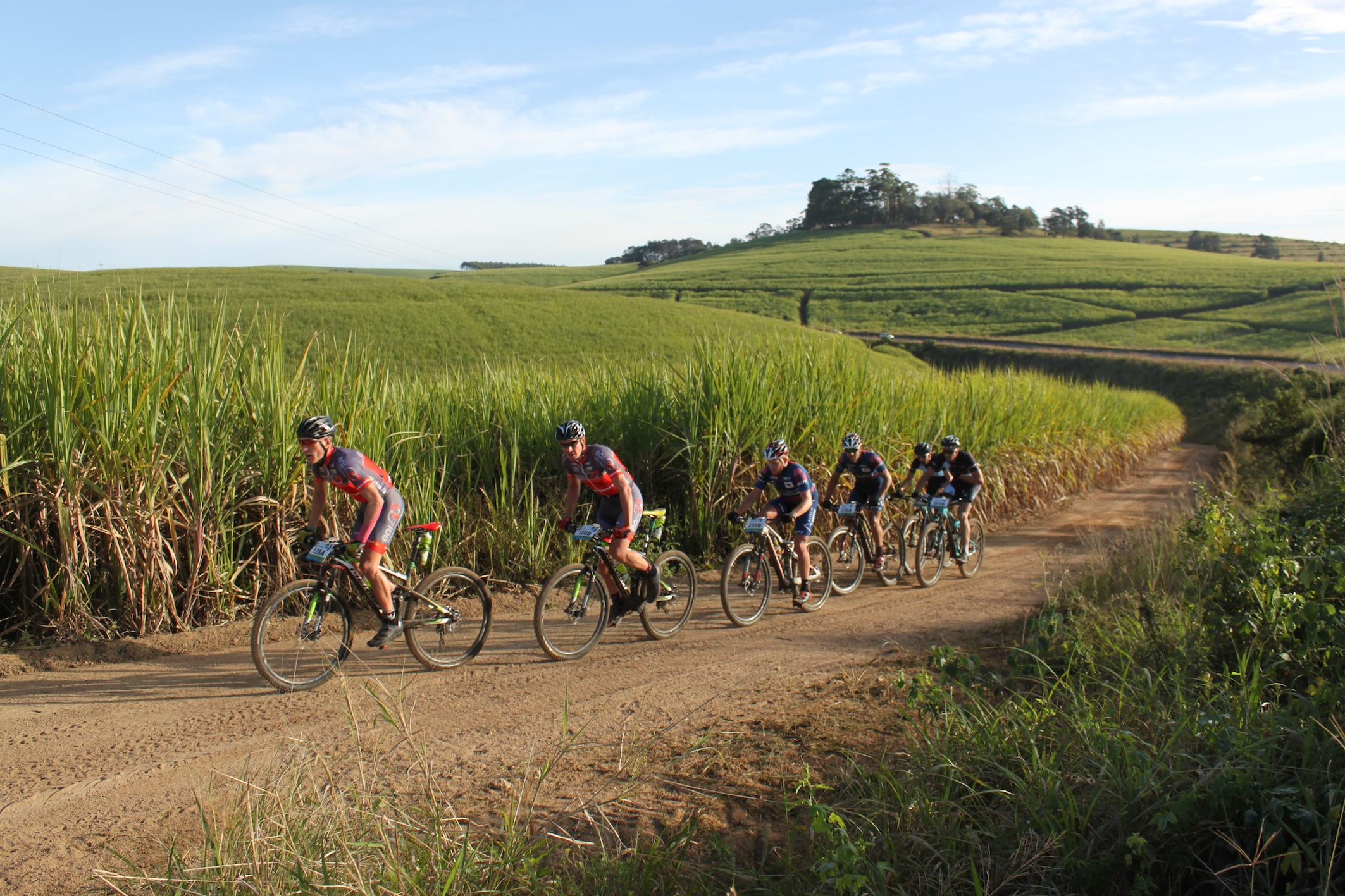 Eventual winners of the 2015 Old Mutual joBerg2c, from left, Gawie Combrinck and Johann Rabie (EAI Cycling) lead Hanco Kachelhoffer and Pieter Seyffert (Altech Autopage Karan Beef), and Justin Tuck and David George (The Gear Change) through the sugar cane fields en route to Scottburgh. Combrinck and Rabie won the nine-day mountain bike race on Saturday. Photo: Full Stop Communications